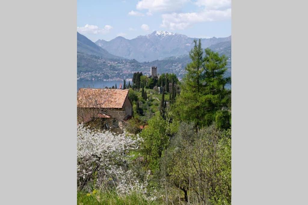 Cosy Place Villa Perledo Esterno foto